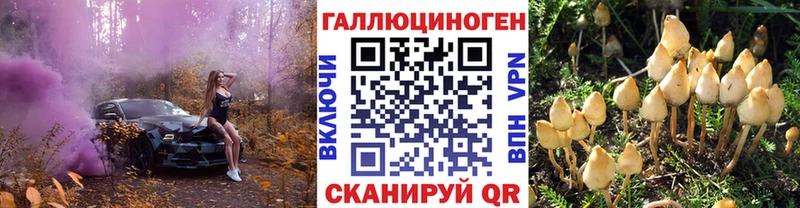 Псилоцибиновые грибы Cubensis  Малаховка 